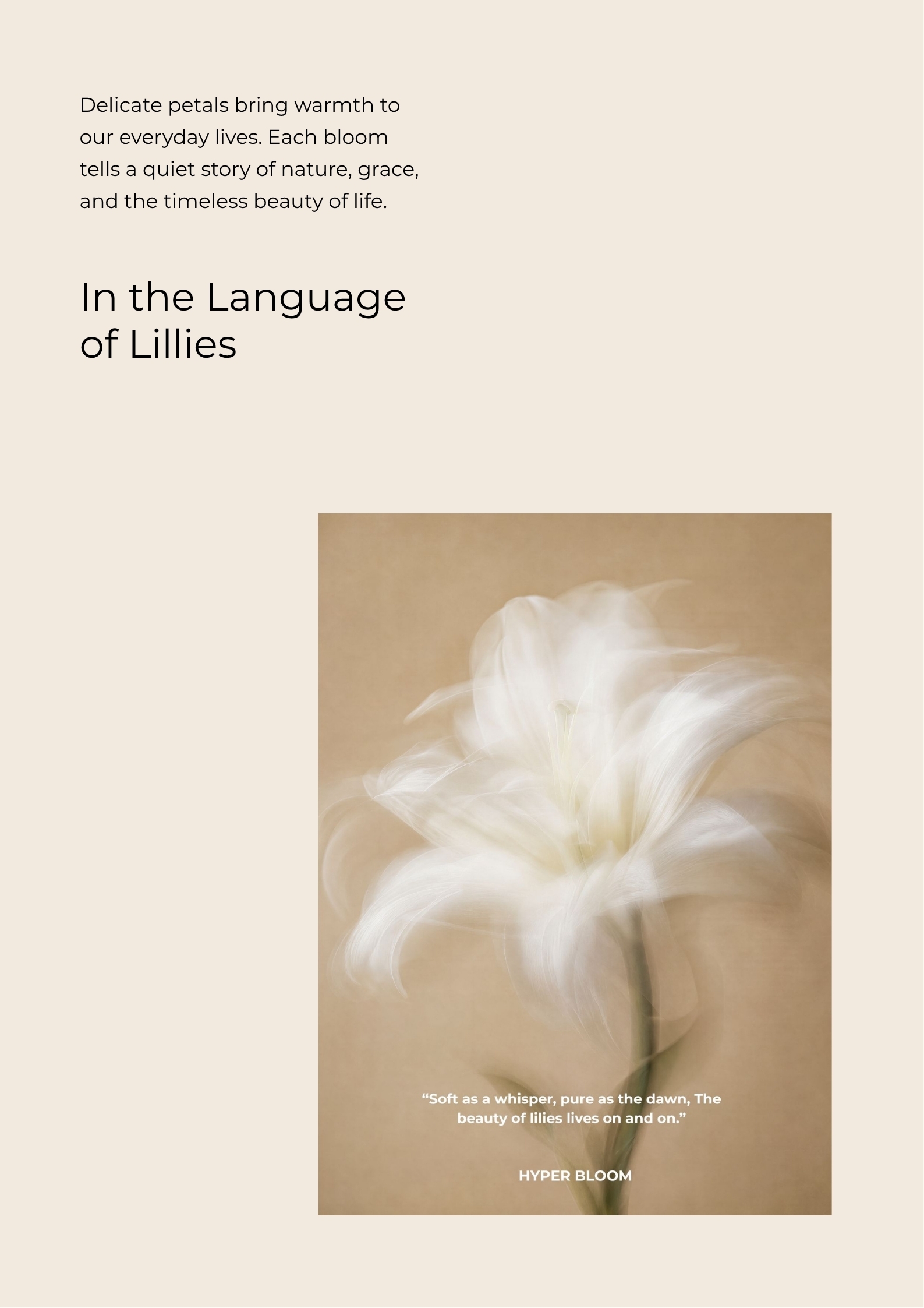 description