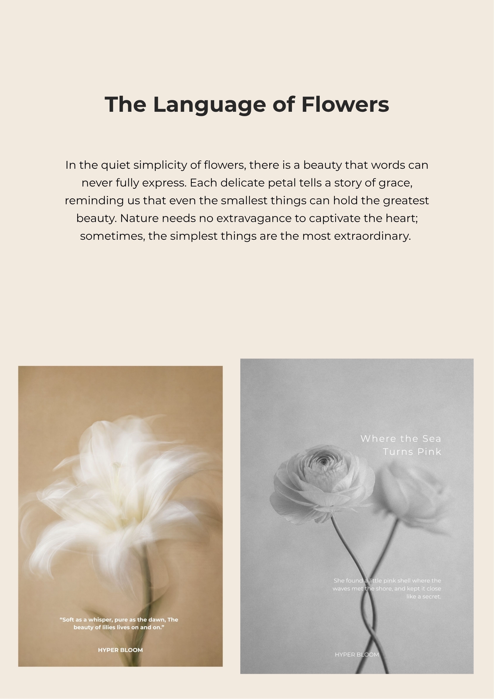 description