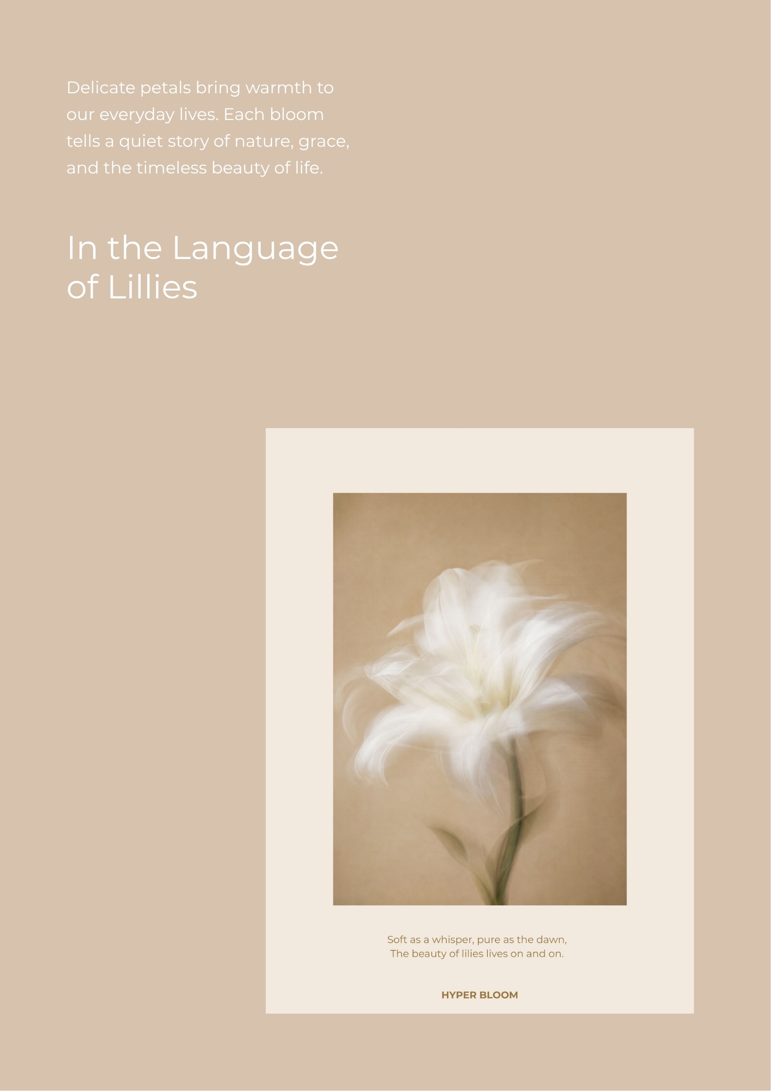 description