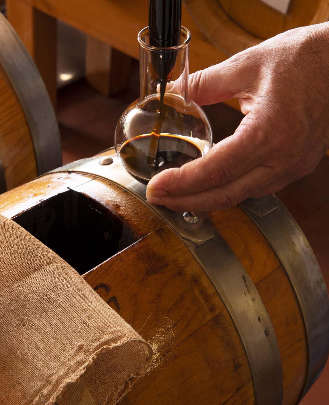 가장 높은 곳에 있는 식초 농가