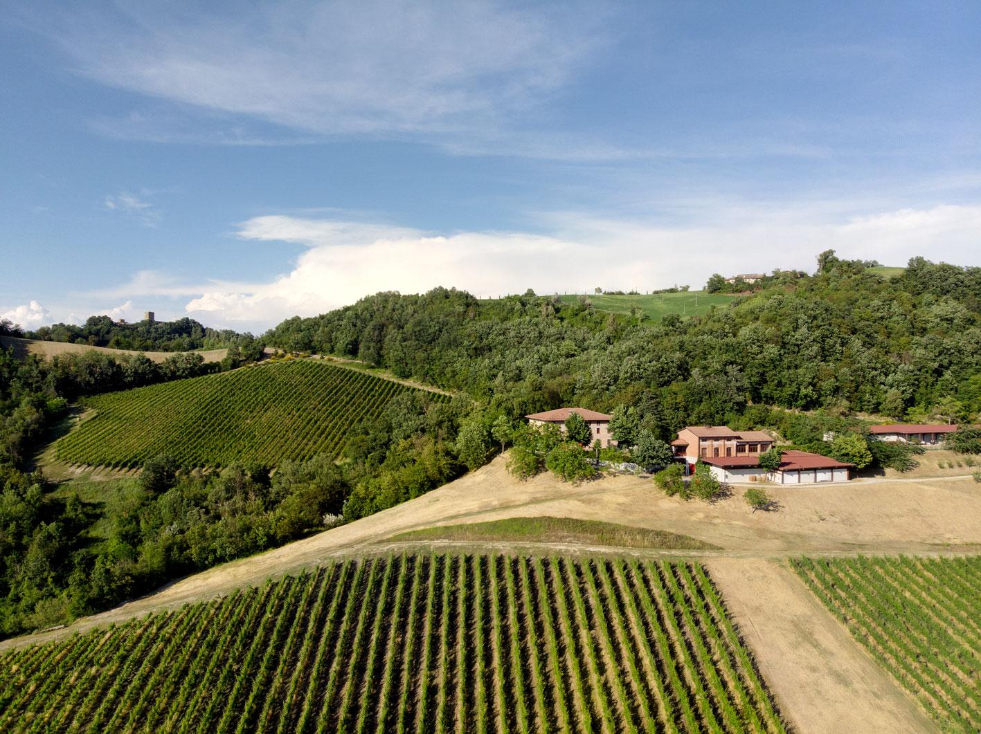 가장 높은 곳에 있는 식초 농가