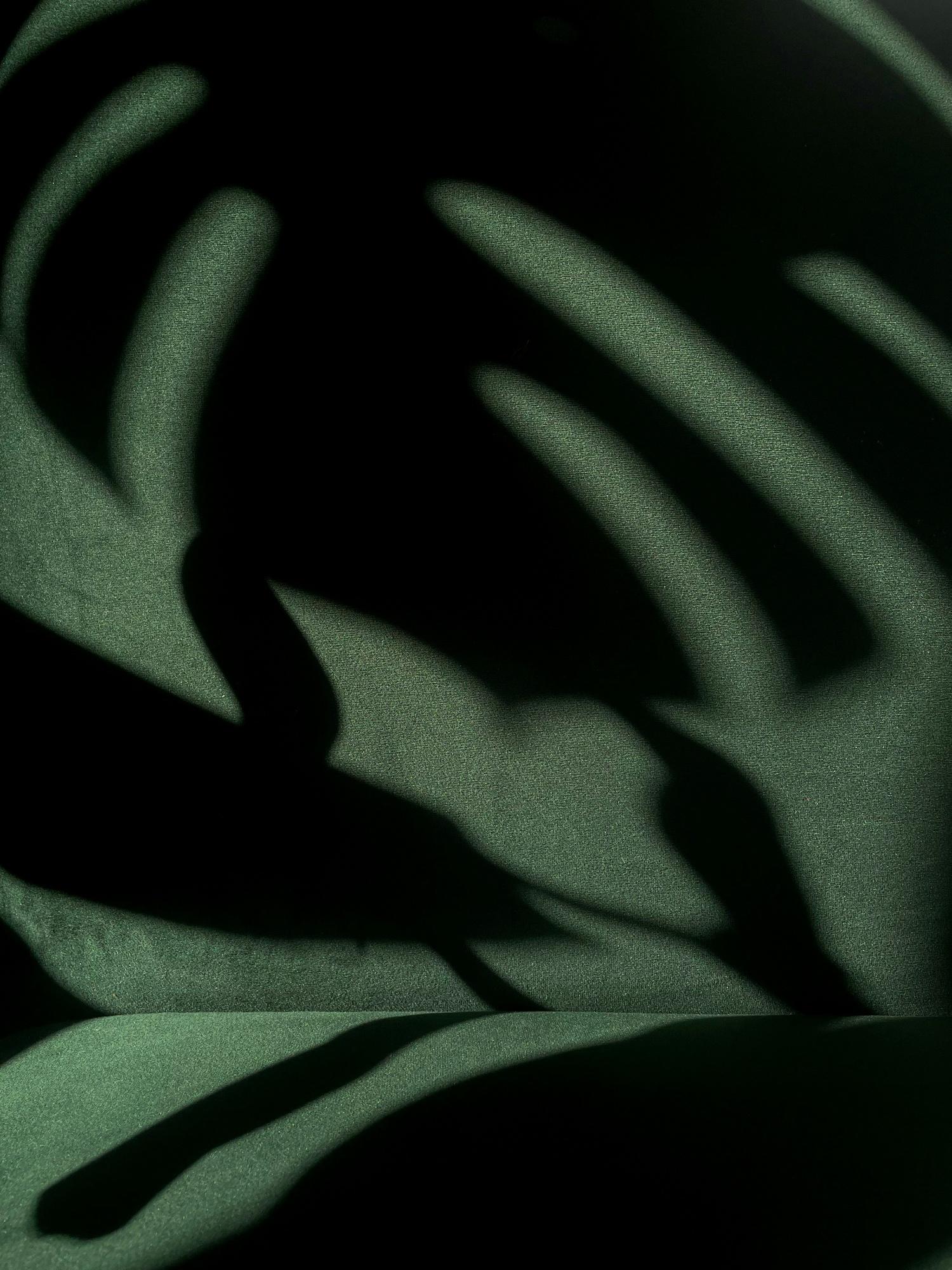 Monstera