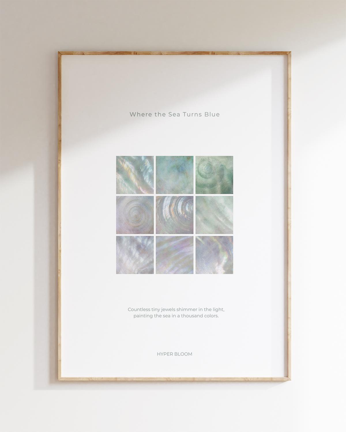바다 조개 포스터 No. 02 Seashell Poster