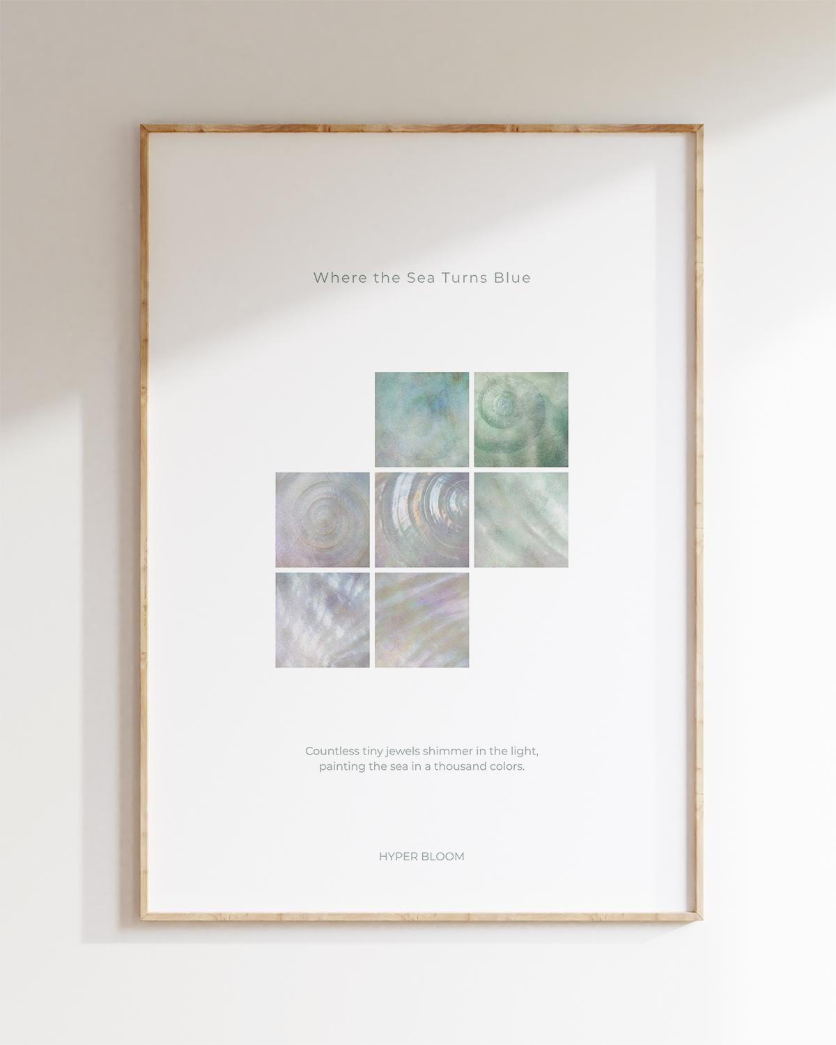 바다 조개 포스터 No. 05 Seashell Poster