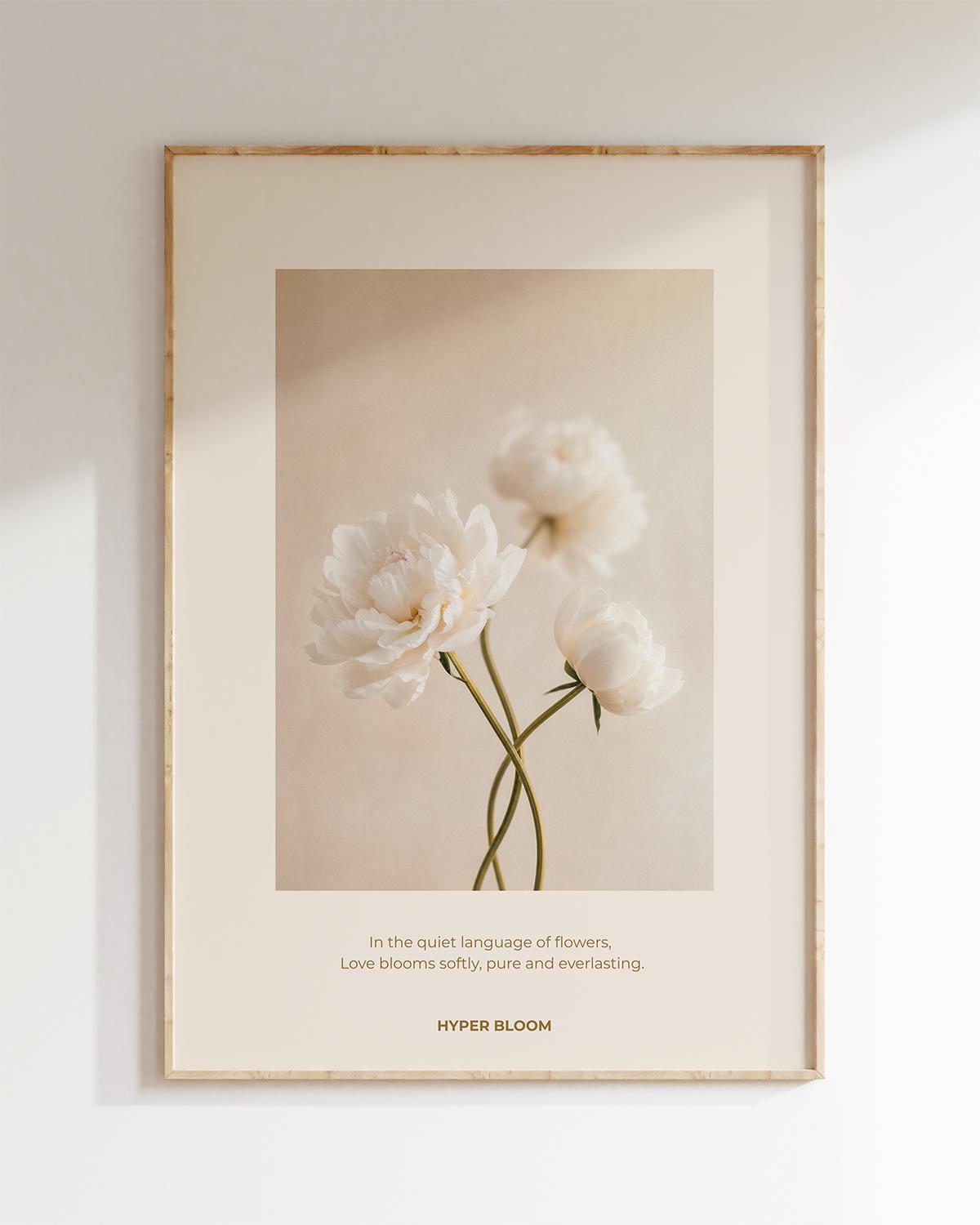 꽃의 초상 포스터 No. 09 The Language of Rinunculus Poster