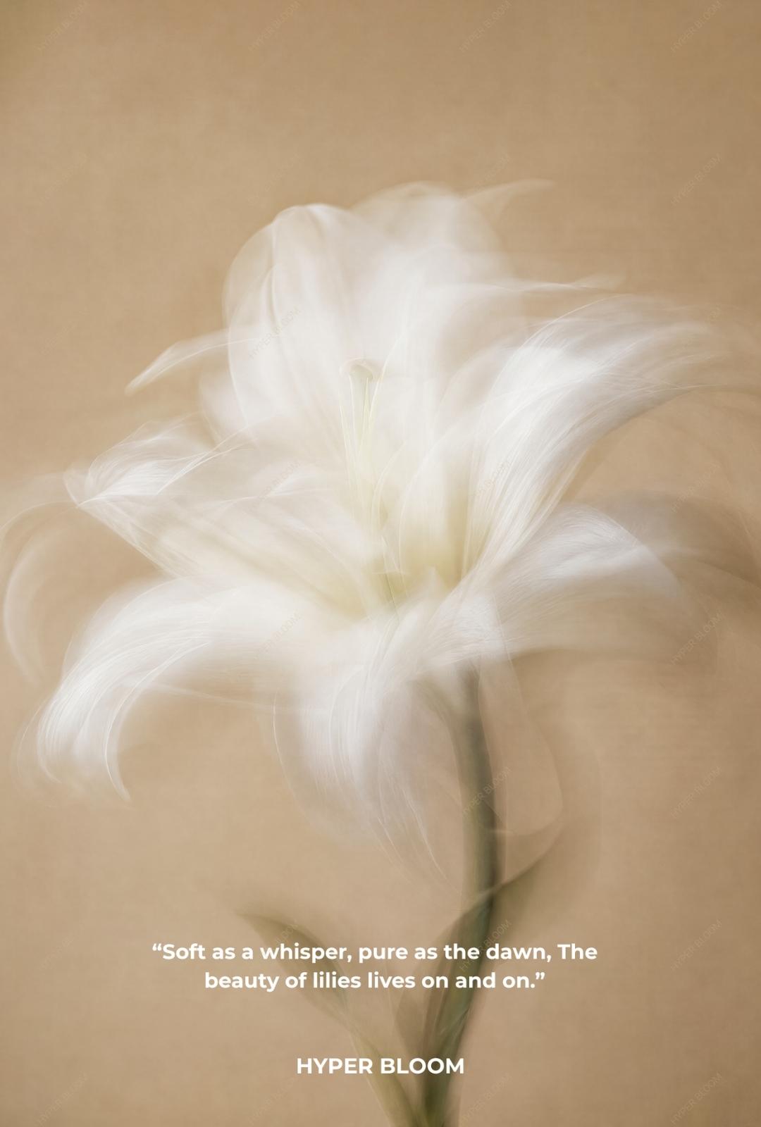 꽃의 초상 포스터 No. 11 The Language of Lillies Poster