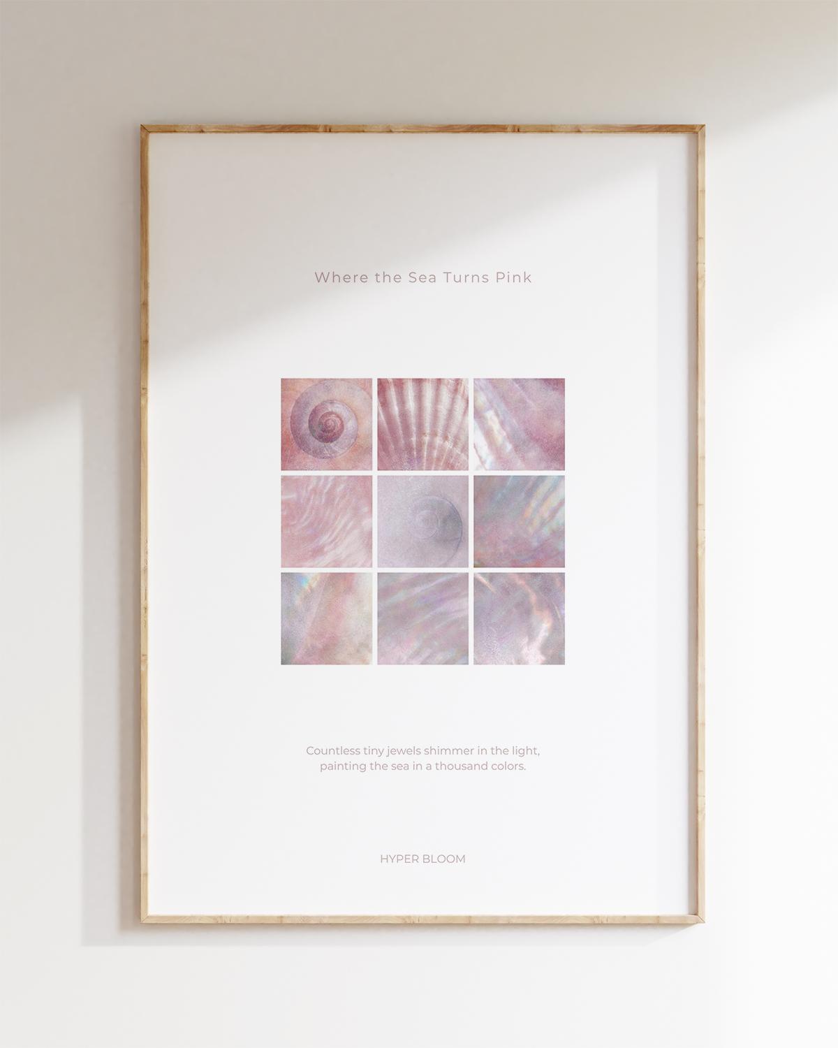 바다 조개 포스터 No. 01 Seashell Poster