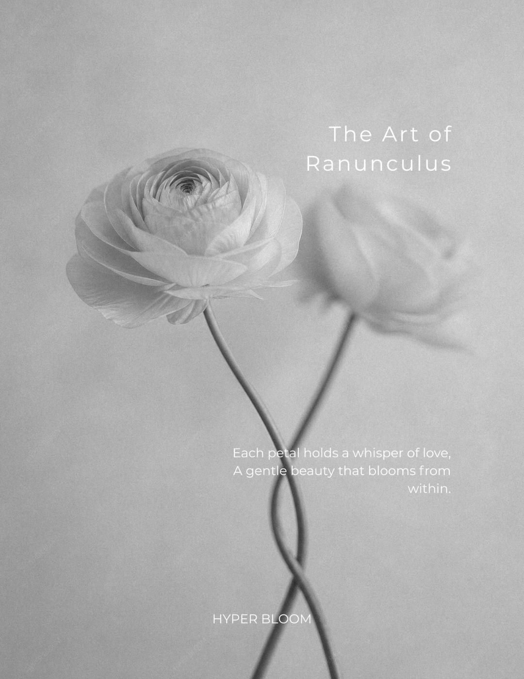 꽃의 초상 포스터 No. 05 The Language of Rinunculus Poster