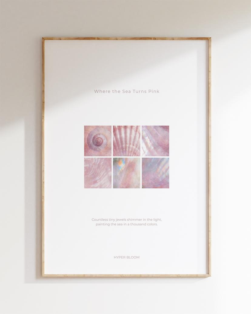 바다 조개 포스터 No. 03 Seashell Poster