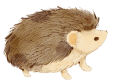 암호창